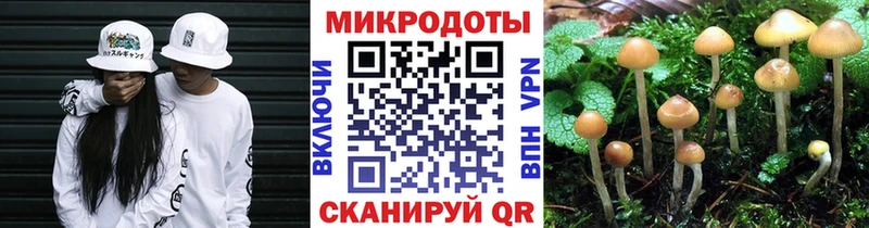 Псилоцибиновые грибы мухоморы  Микунь 